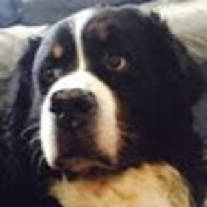 Meet your Posher, Mia